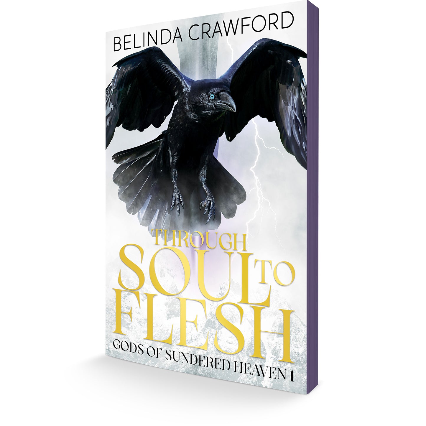 Through Soul to Flesh (Gods of Sundered Heaven 1)