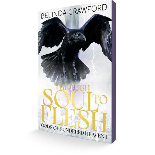 Through Soul to Flesh (Gods of Sundered Heaven 1)
