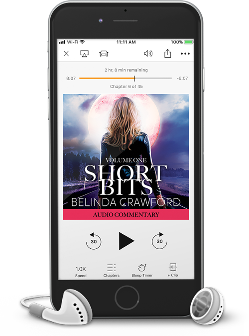 Short Bits, Volume 1 – Audio Commentary